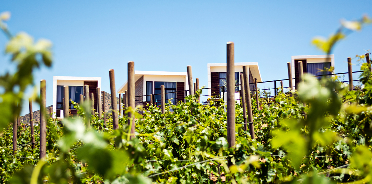 ensenada restaurante diseño la cima valle de guadalupe ernesto monzón