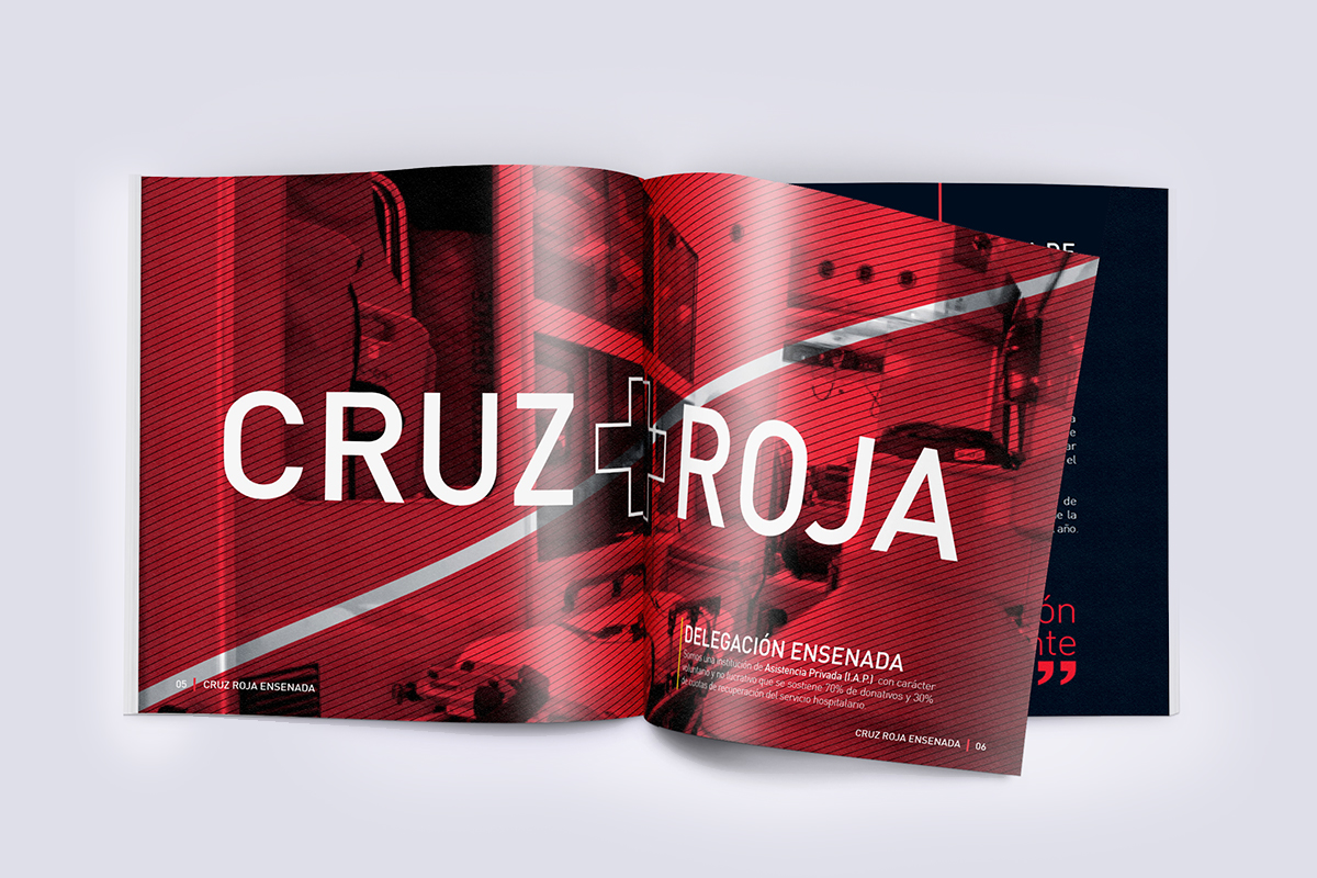 cruz roja informe anual ernesto monzón