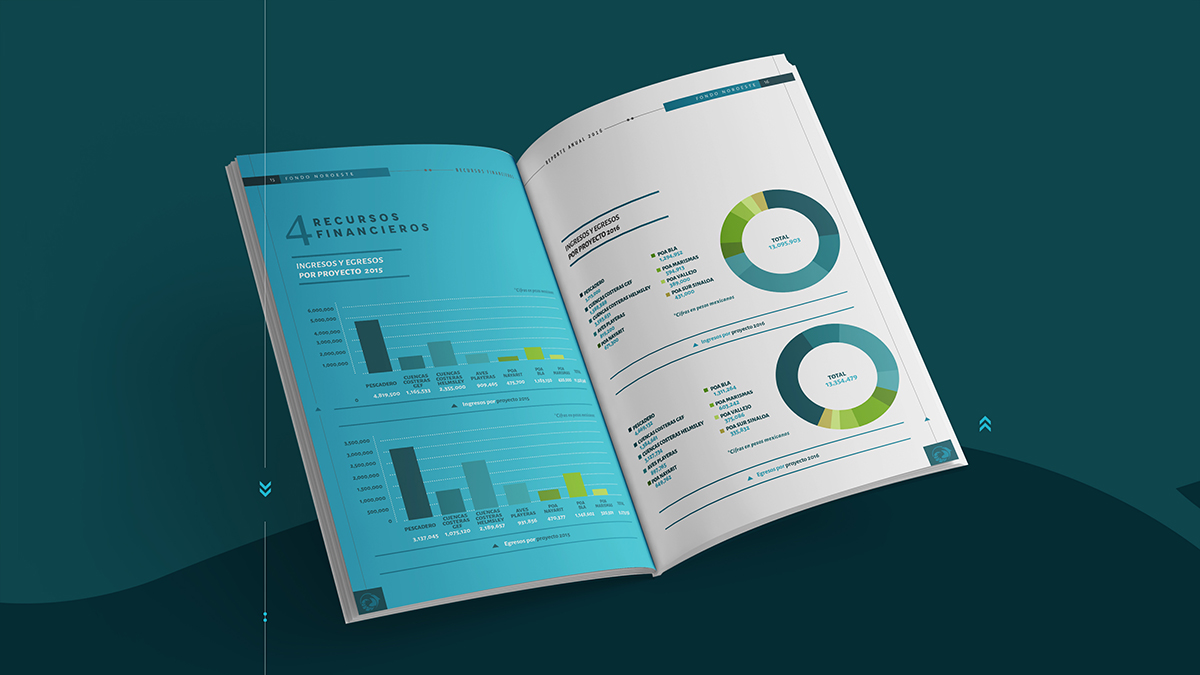 informe anual fonnor fondo noroeste diseño ernesto monzón